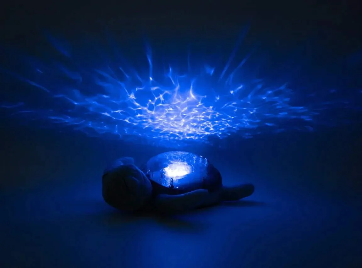 Cloud b -Tranquil Turtle™ Rechargeable | Aqua